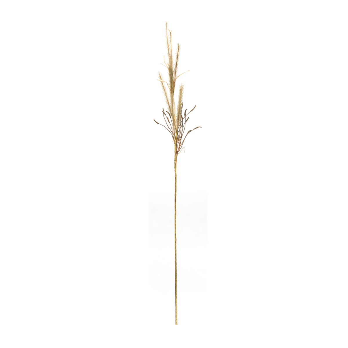 Foxtail Grass Spray (Set of 2) -Ship Only