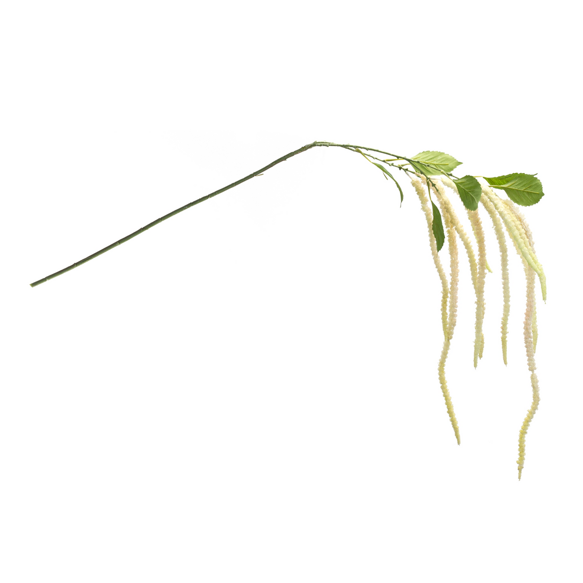 Amaranthus Floral Stem (Set of 4) -Ship Only