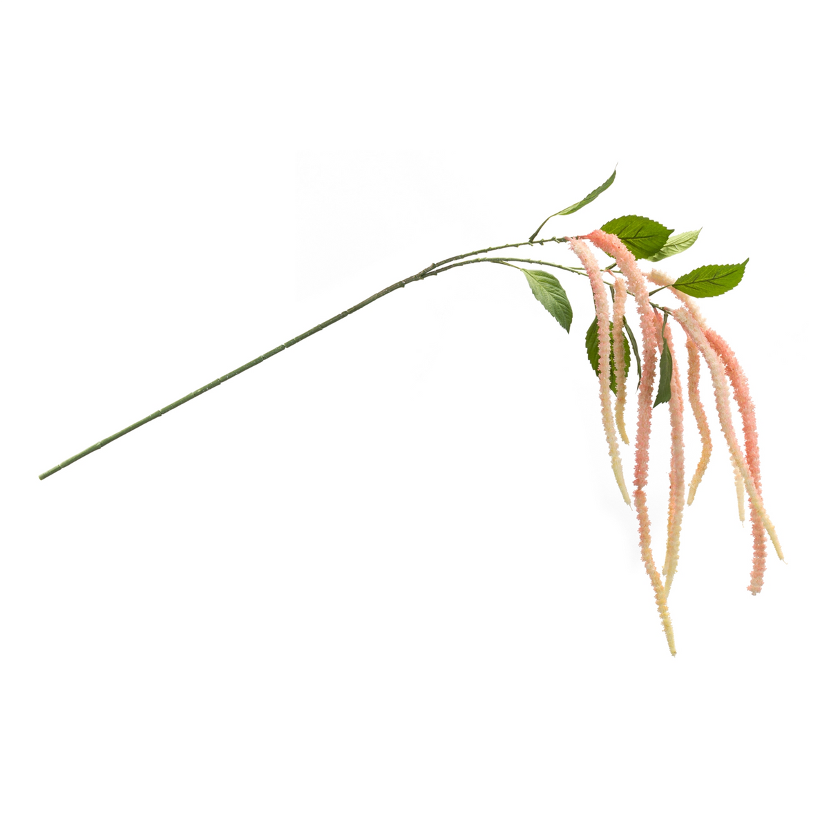 Amaranthus Floral Stem (Set of 4) -Ship Only