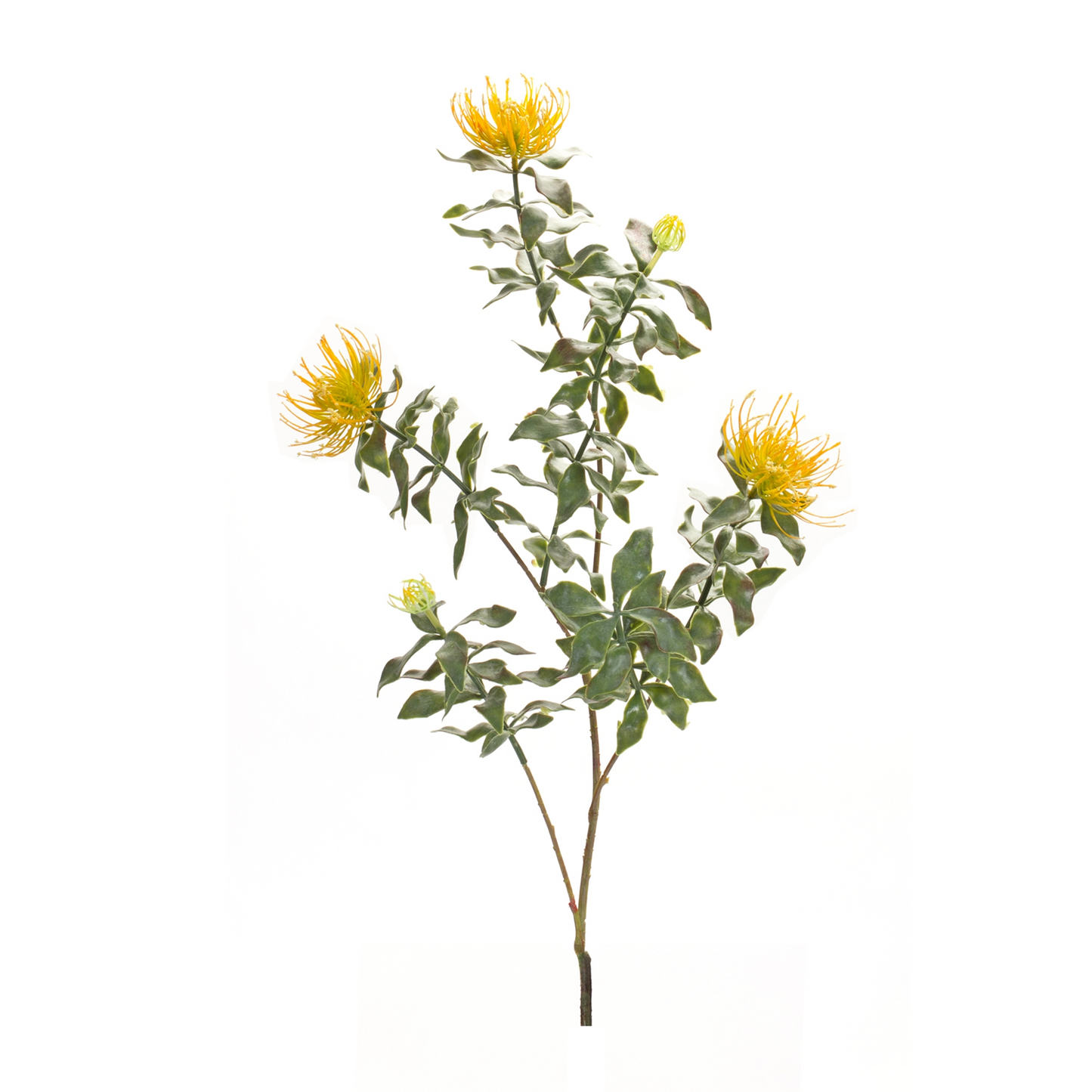 Yellow Flocked Protea Spray (Set of 6) -Ship Only
