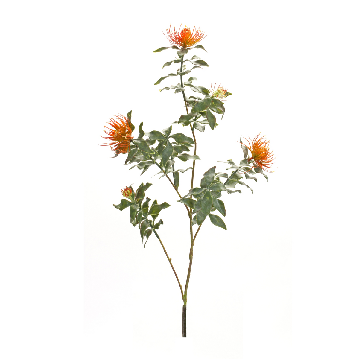 Orange Flocked Protea Spray (Set of 6) -Ship Only