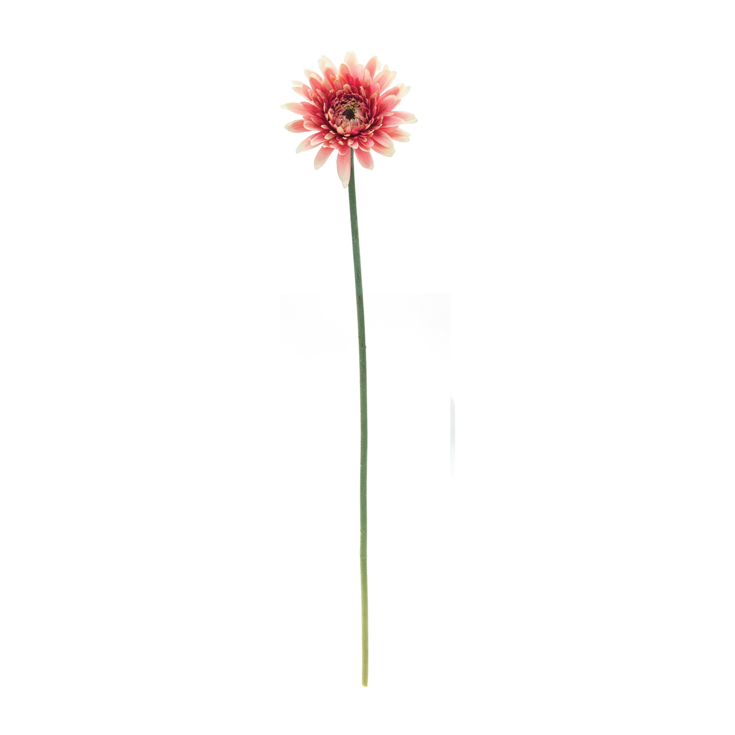Gerbera Daisy Floral Stem (Set of 6) -Ship Only