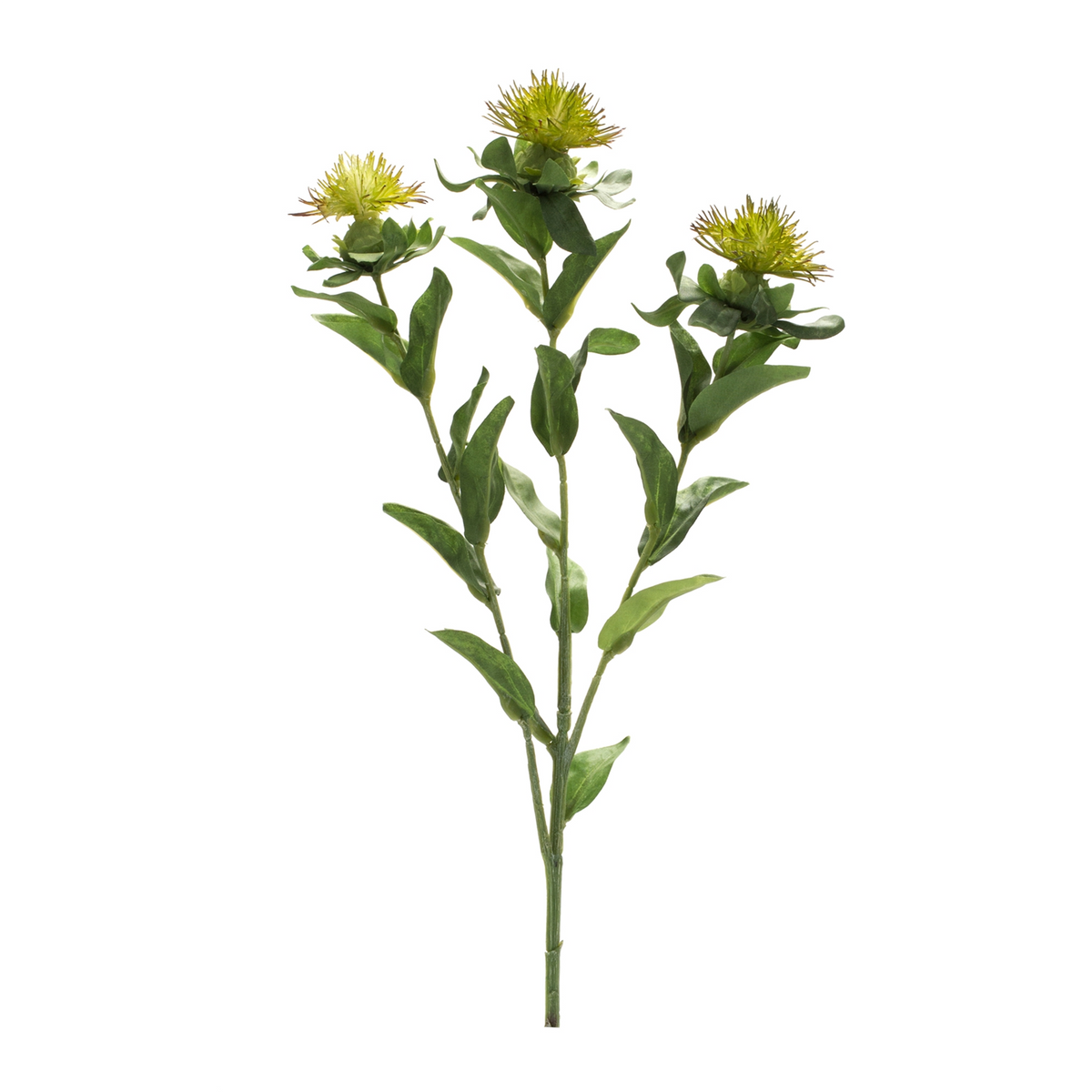 Green Thistle Floral Spray (Set of 6) -Ship Only
