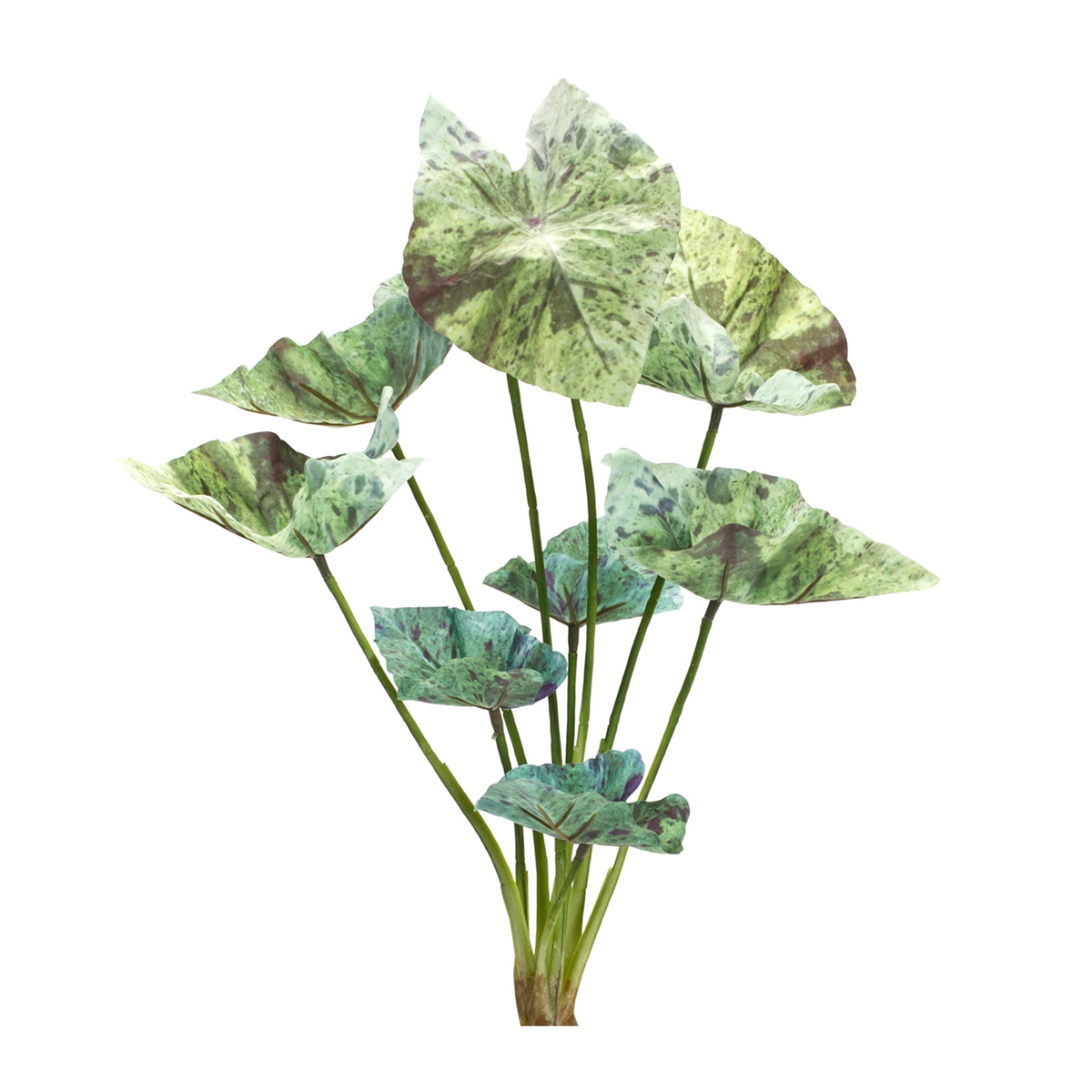 Caladium Bush (Set of 6) 18.5”H Polyester -Ship Only