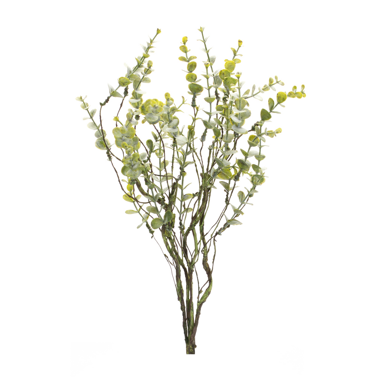 Boxwood Twig Foliage Spray (Set of 6) -Ship Only