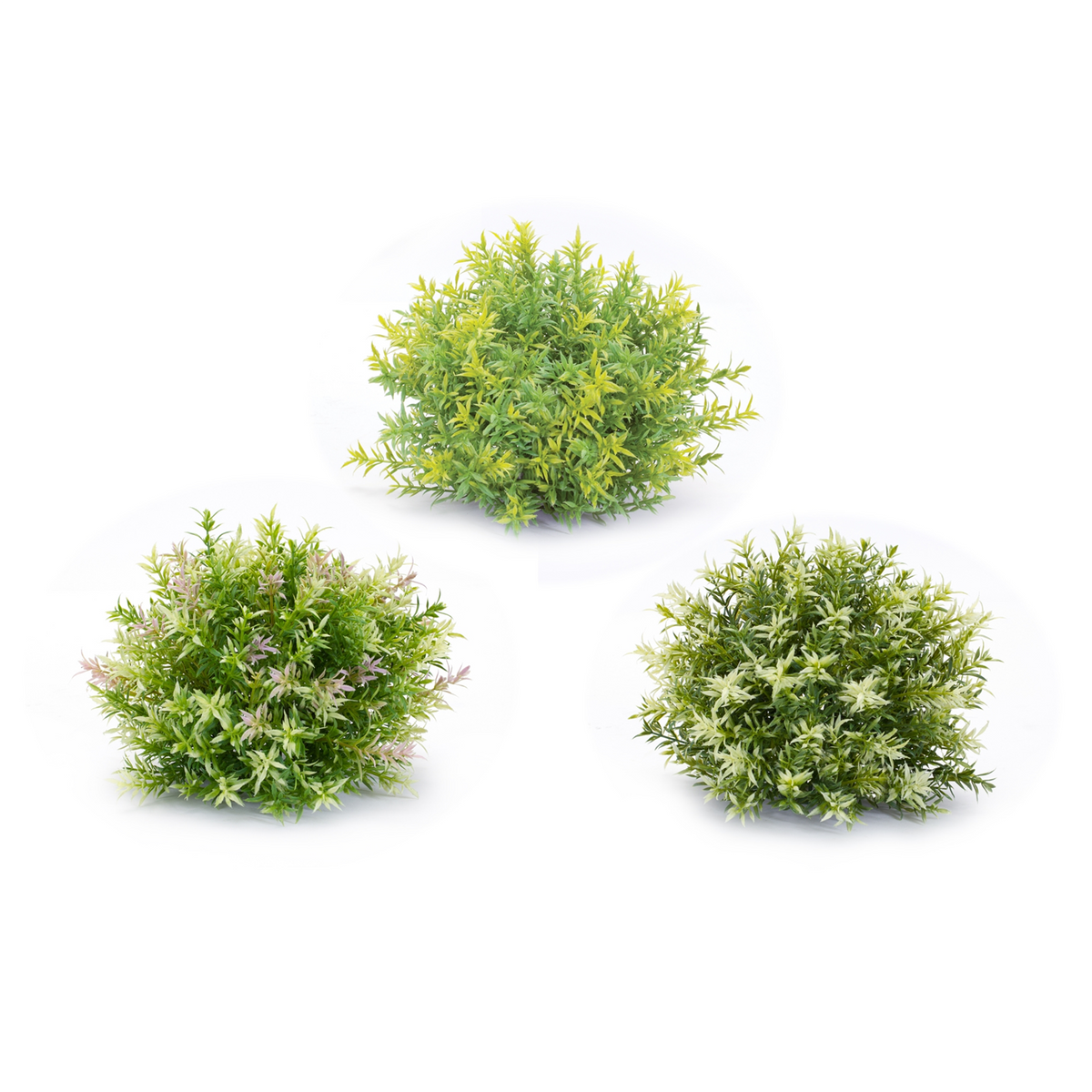 Varigated Mini Leaf Half Orb (Set of 6) -Ship Only