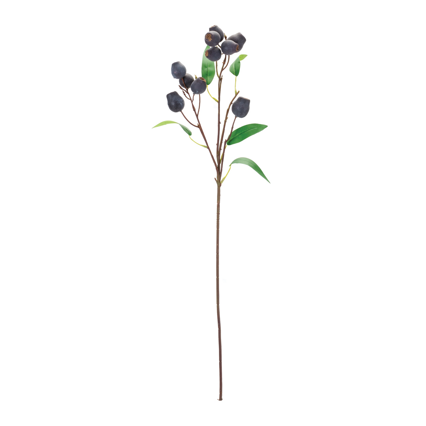 Plum Pod Spray (Set of 6) -Ship Only