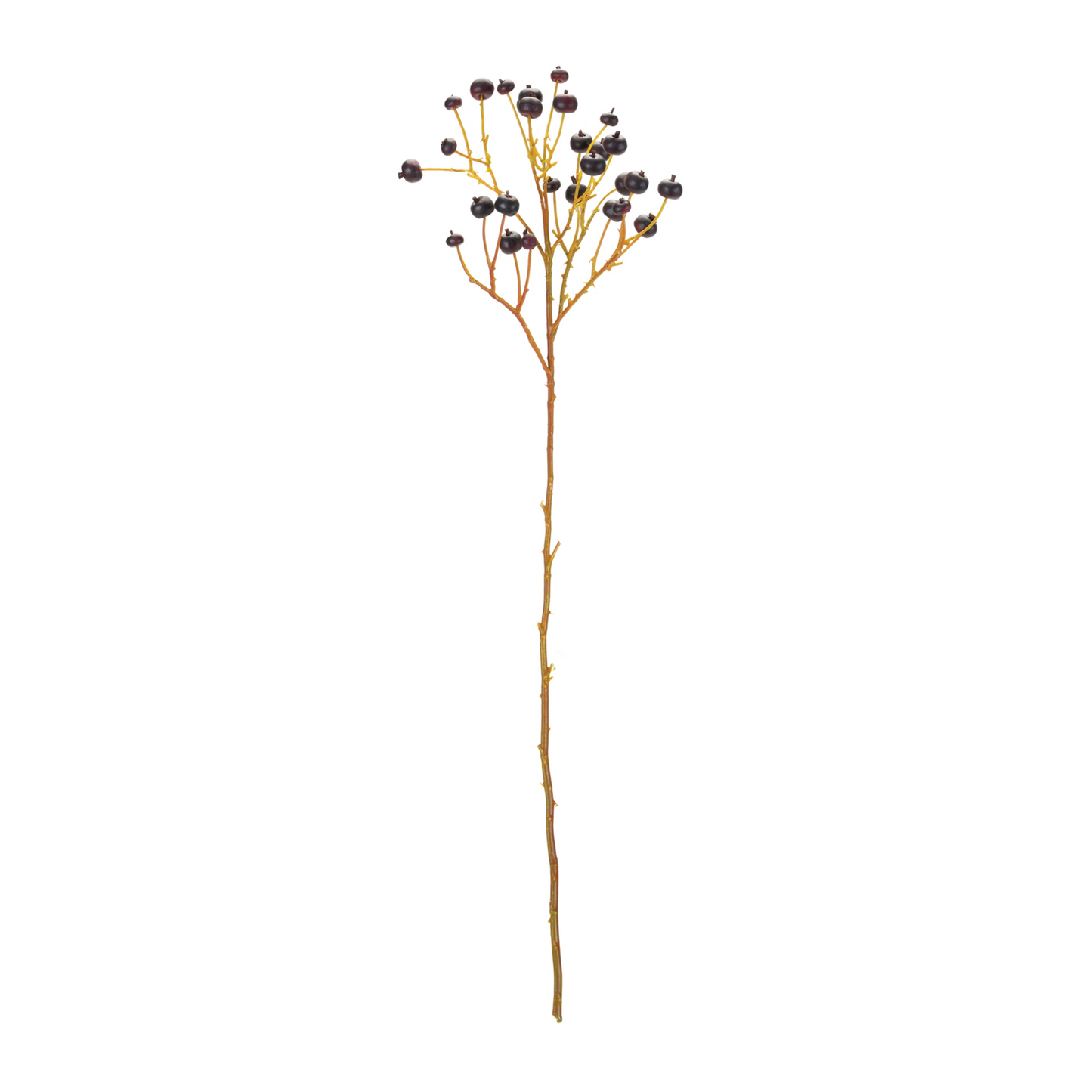 Blue Berry Spray (Set of 6) -Ship Only