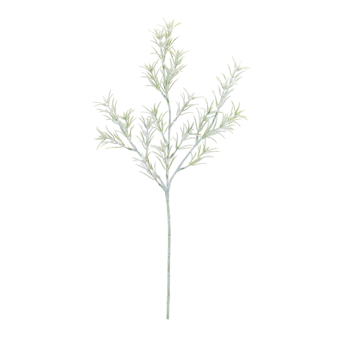 Rosemary Foliage Spray (Set of 6) -Ship Only