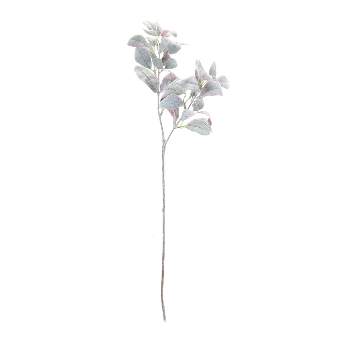 Lamb's Ear Leaf Bush (Set of 6) -Ship Only