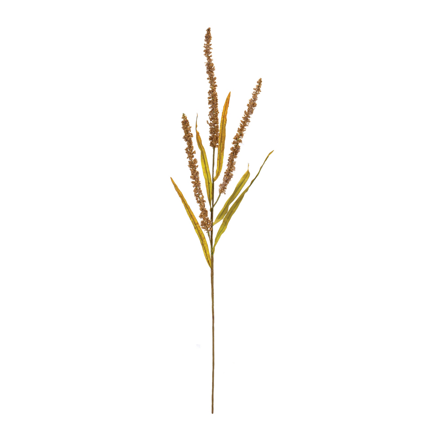 Seeded Plume Spray (Set of 12) -Ship Only