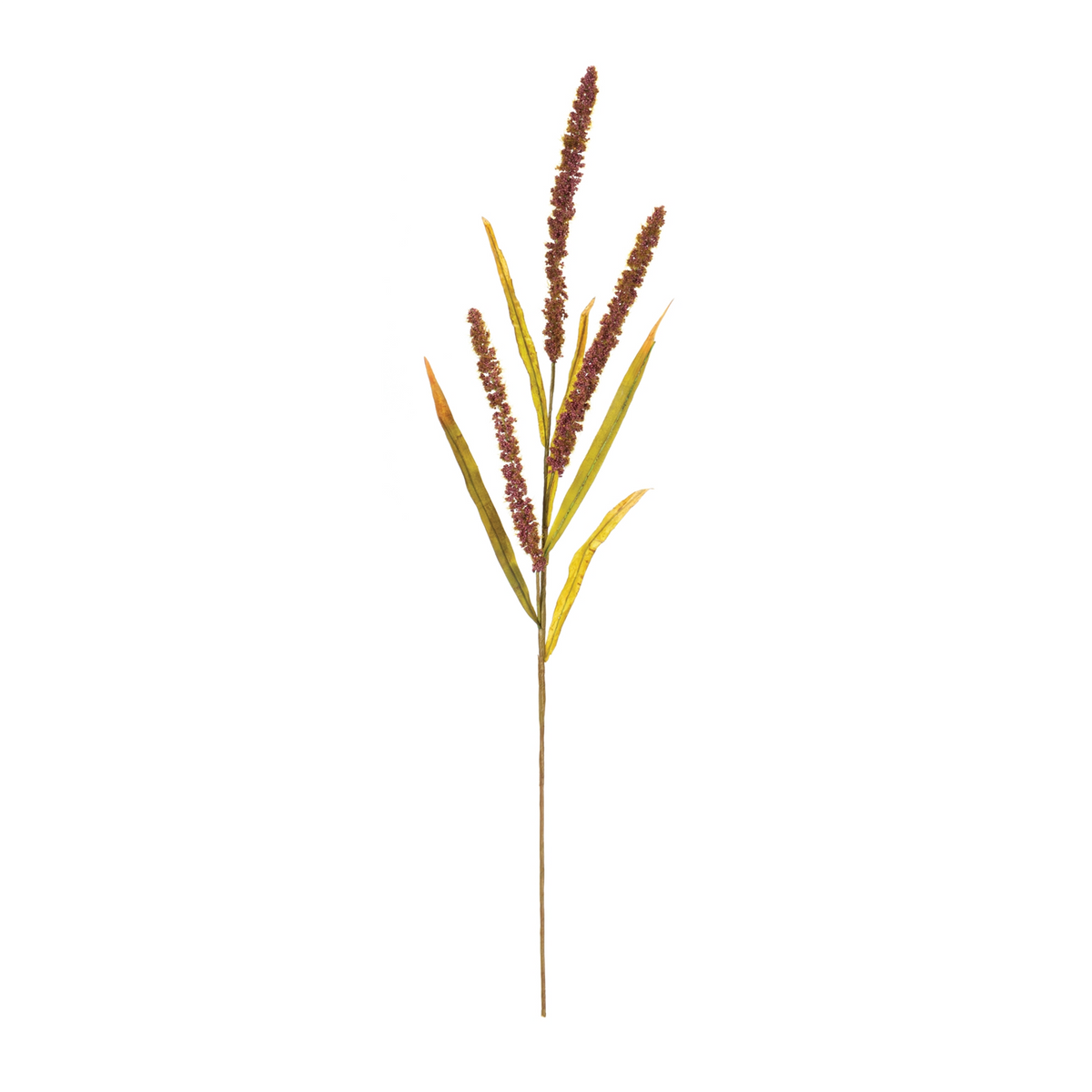 Seeded Plume Spray (Set of 12) -Ship Only