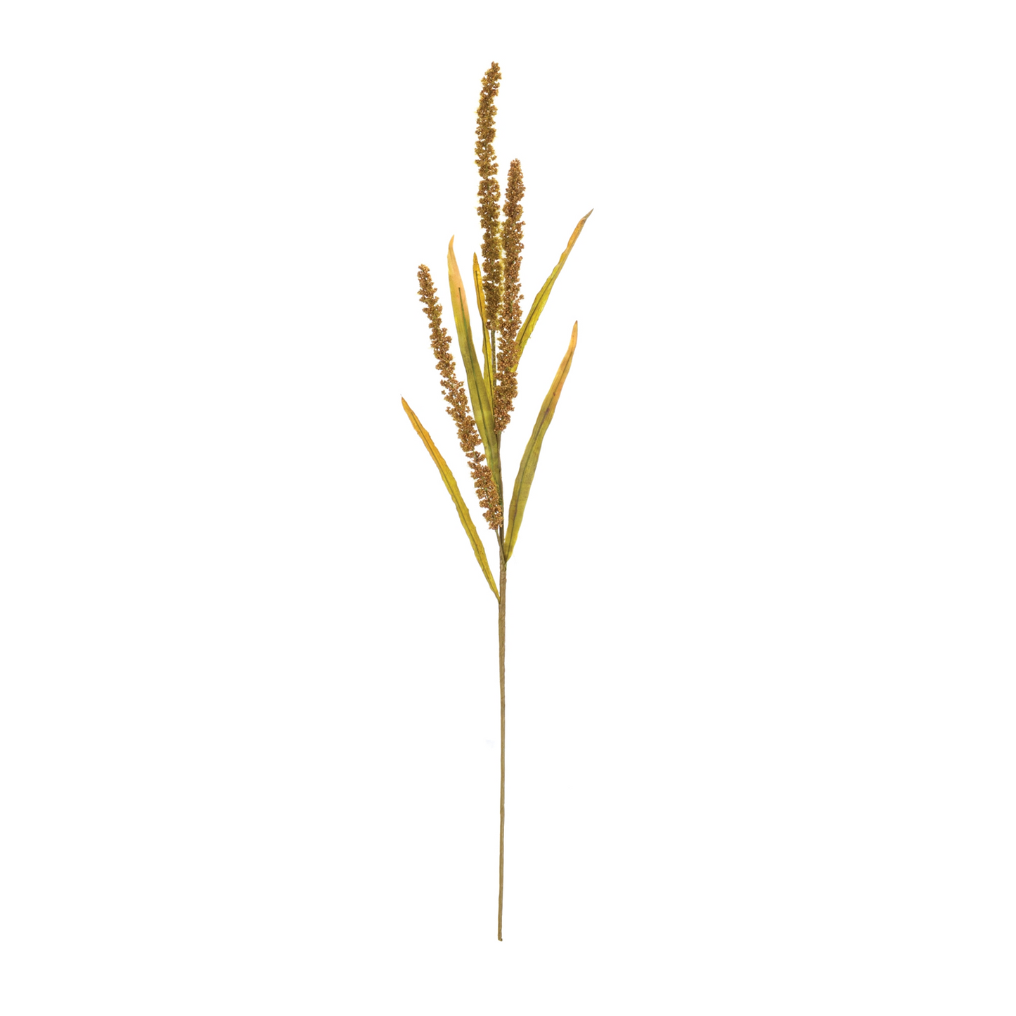 Seeded Harvest Spray (Set of 12) -Ship Only