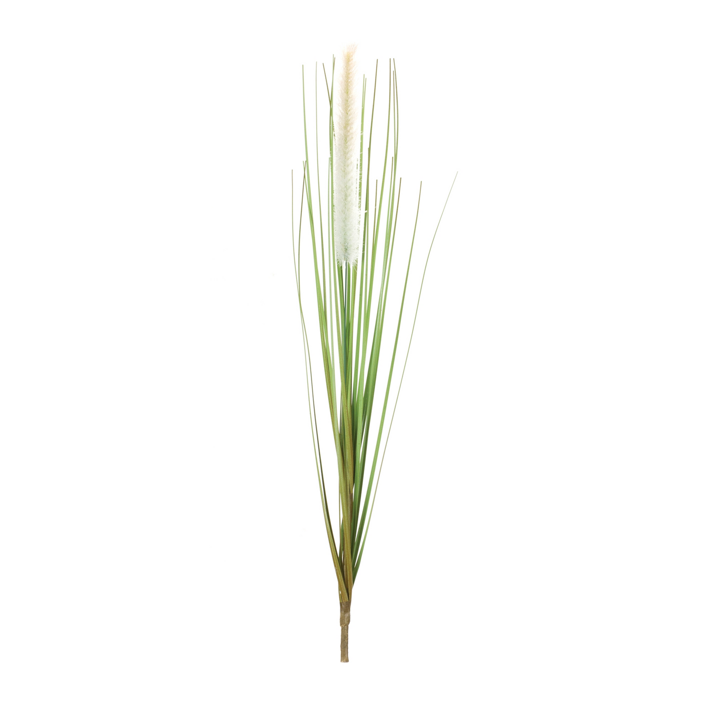 Foxtail Bush (Set of 12) -Ship Only
