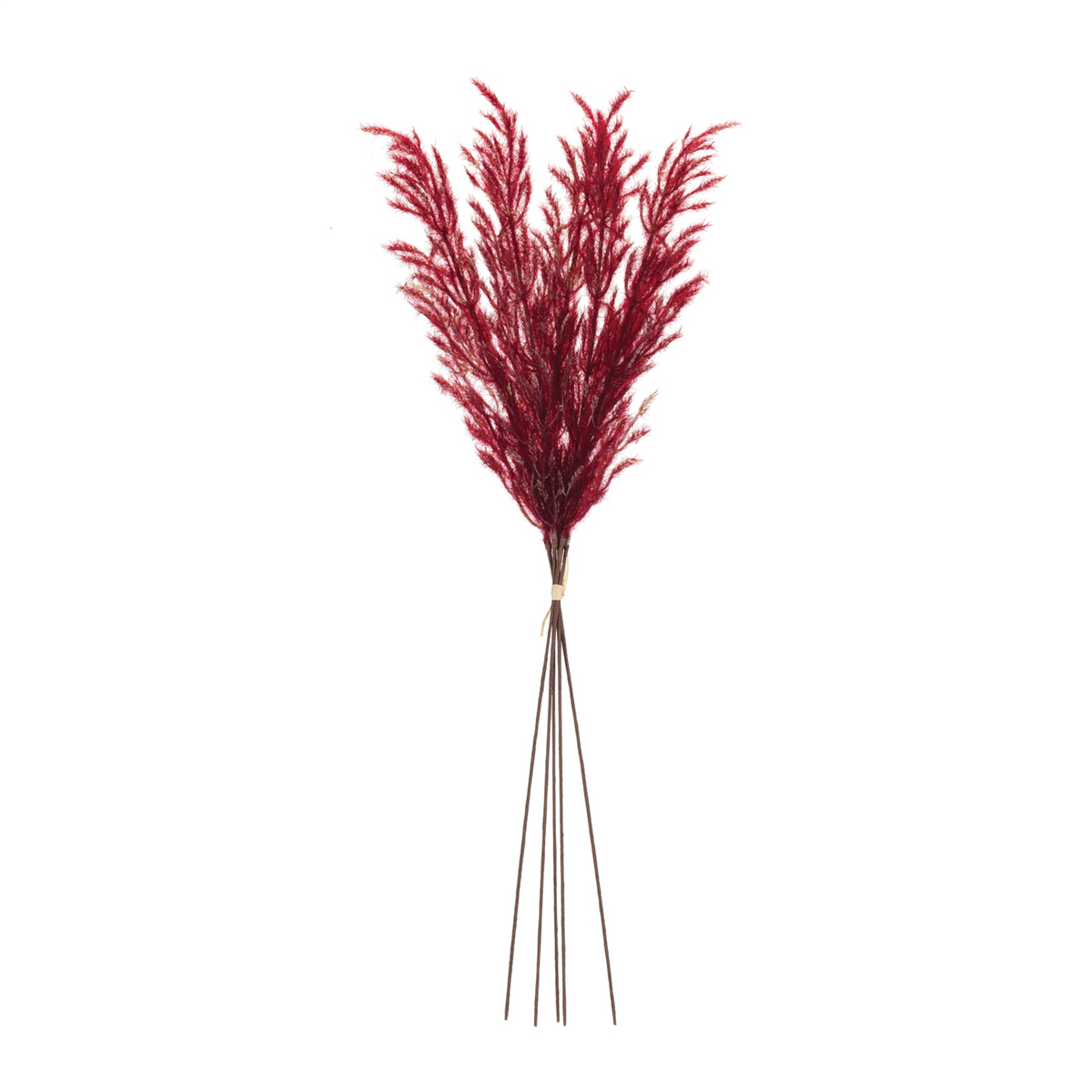 Burgandy Plume Bundle (Set of 6) -Ship Only