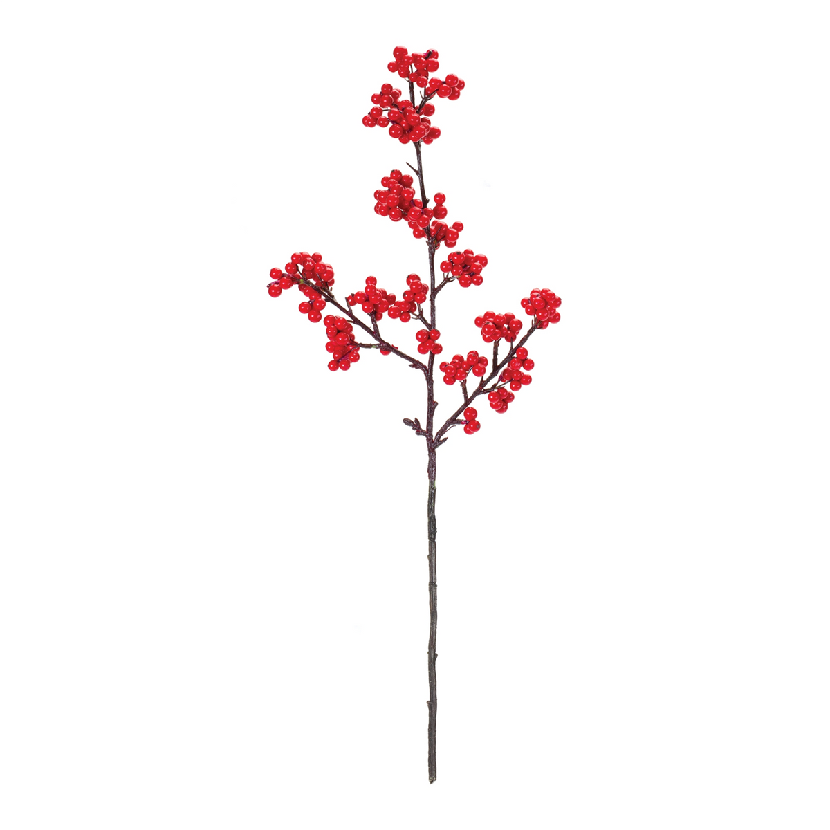 Berry Spray (Set of 6) 23”H Foam/Plastic -Ship Only