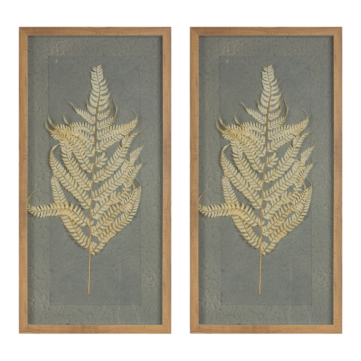Dried Fern Frame (Set of 2) -Ship Only