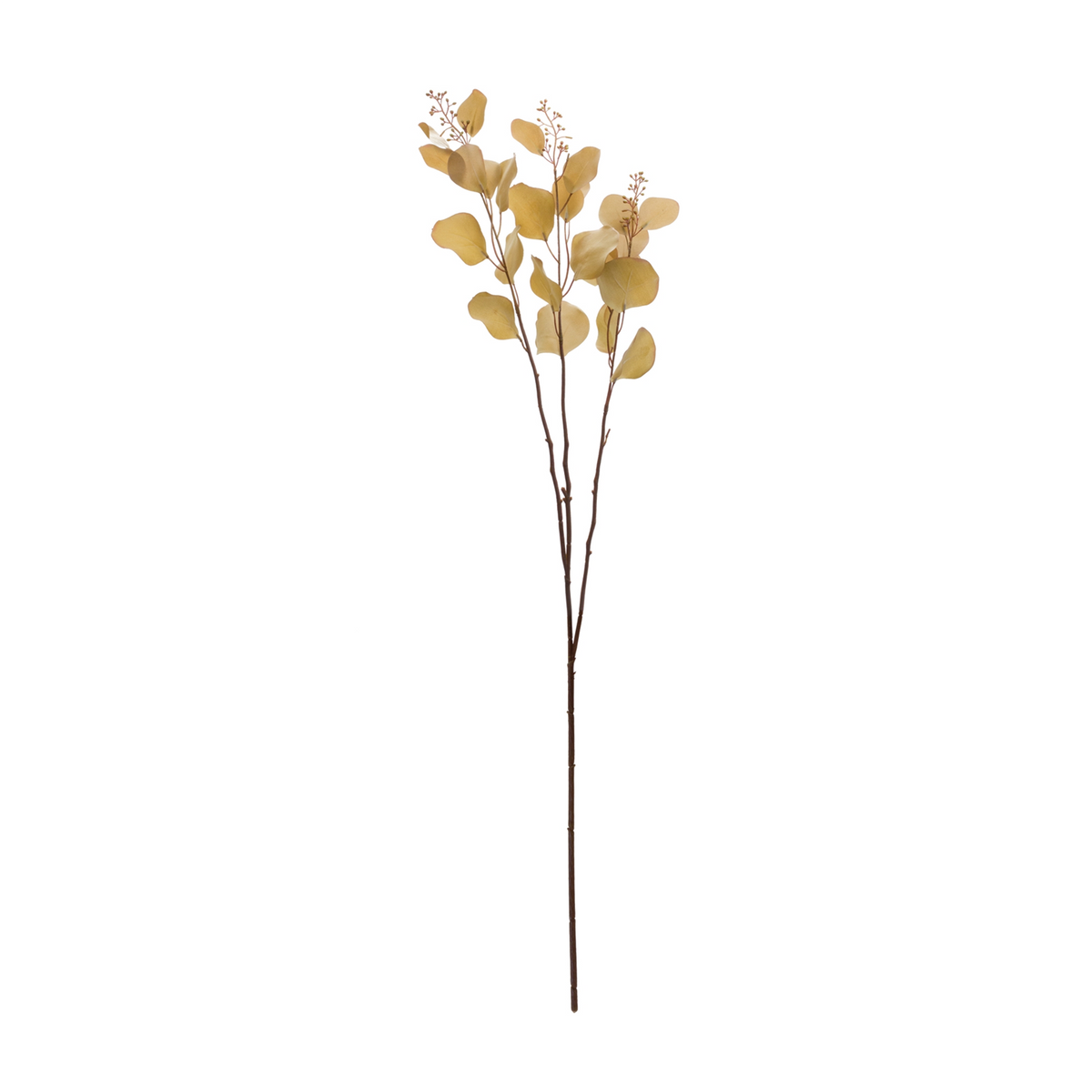 Seeded Eucalyptus Stem (Set of 2) -Ship Only