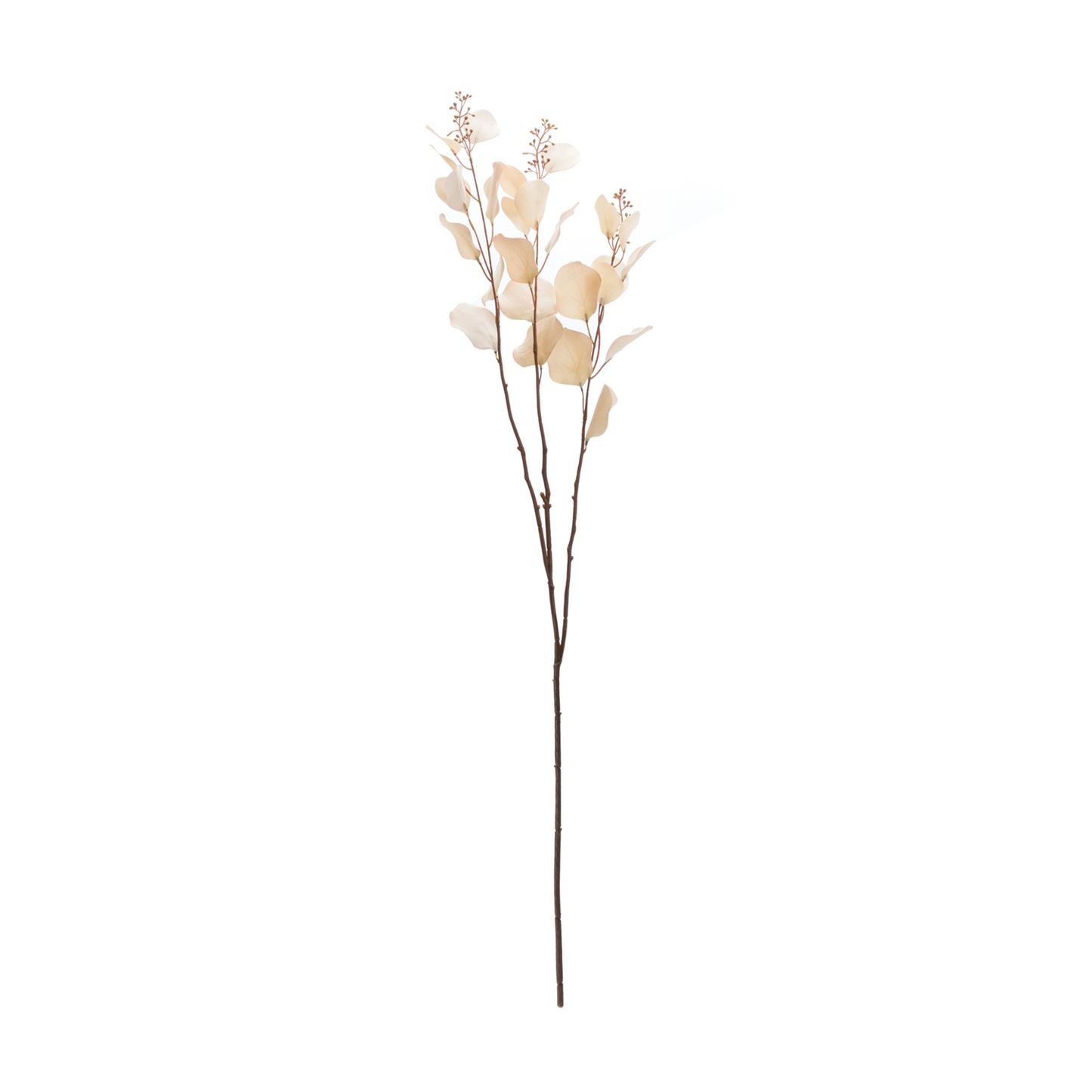 Seeded Eucalyptus Stem (Set of 2) -Ship Only