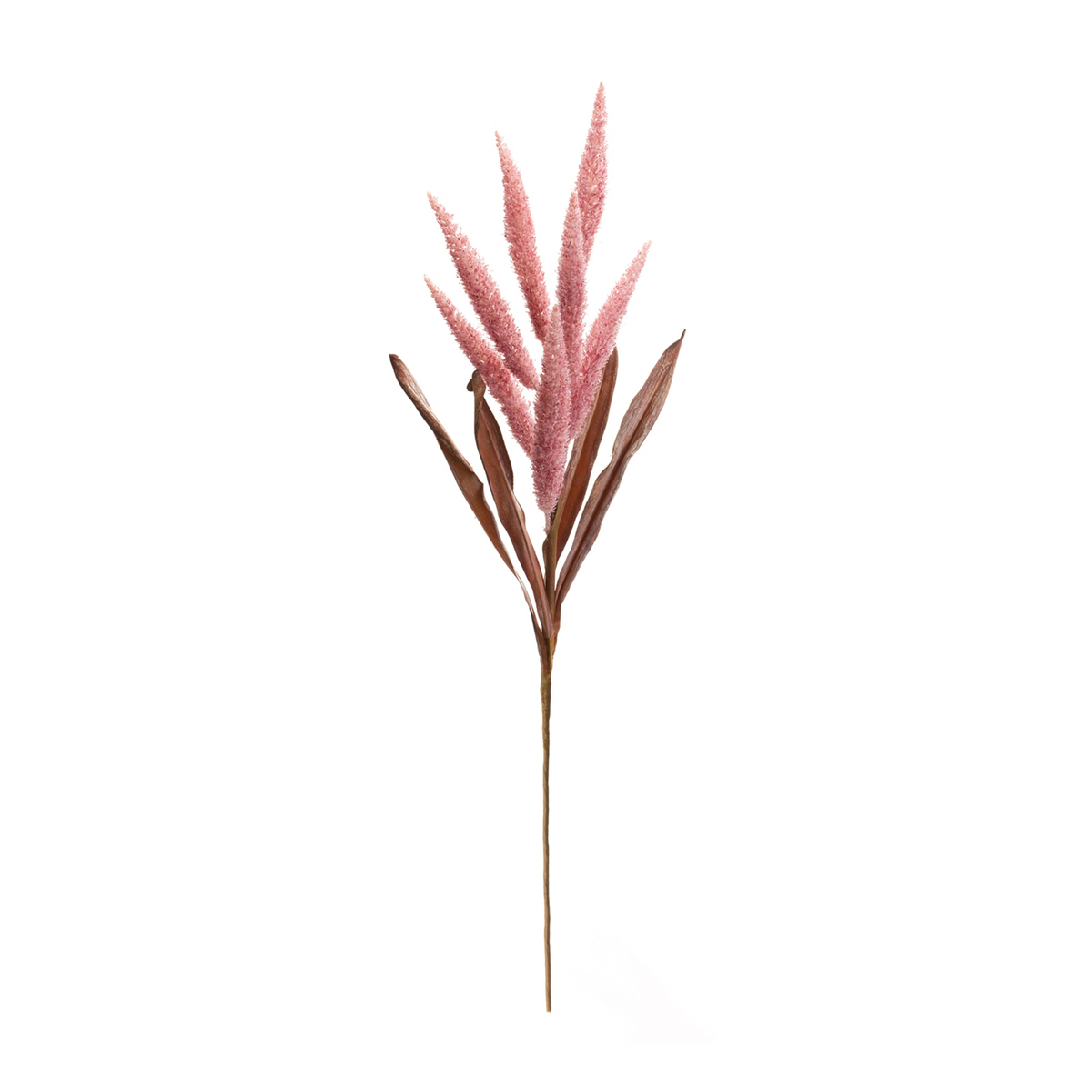 Foxtail Plume Stem (Set of 2) -Ship Only