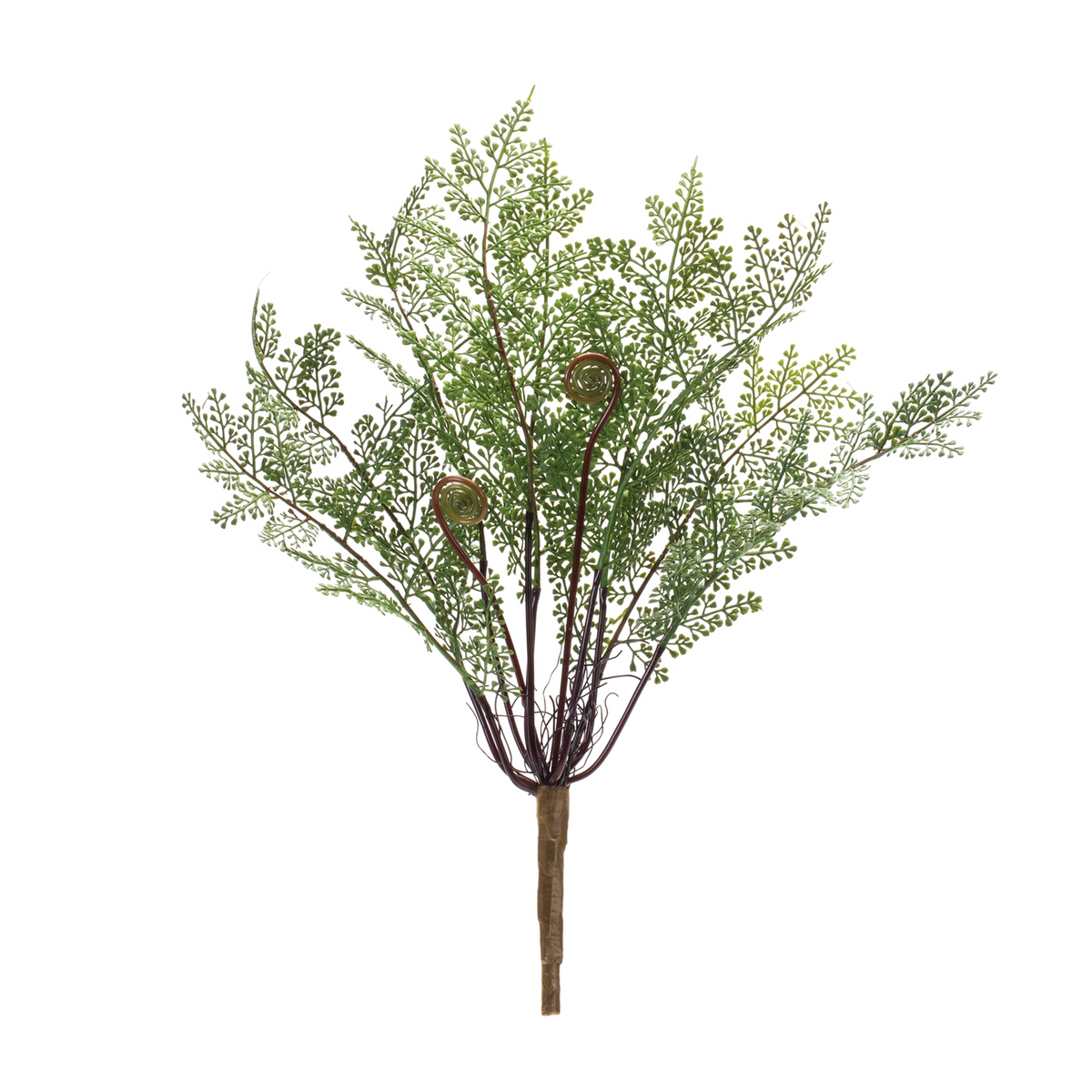 Fern Bush (Set of 2) -Ship Only