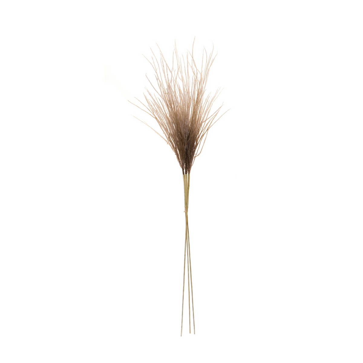 Grass Plume Bundle (Set of 2) -Ship Only