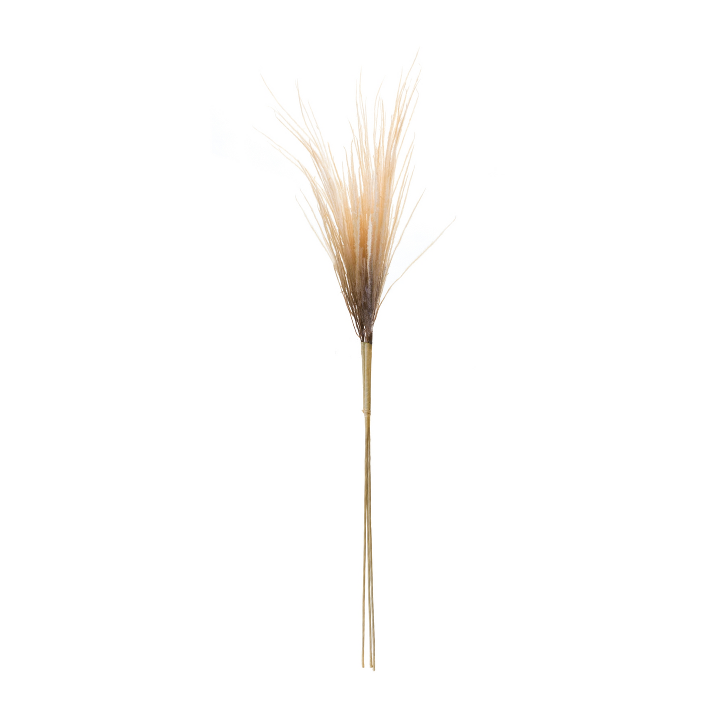 Grass Plume Bundle (Set of 2) -Ship Only