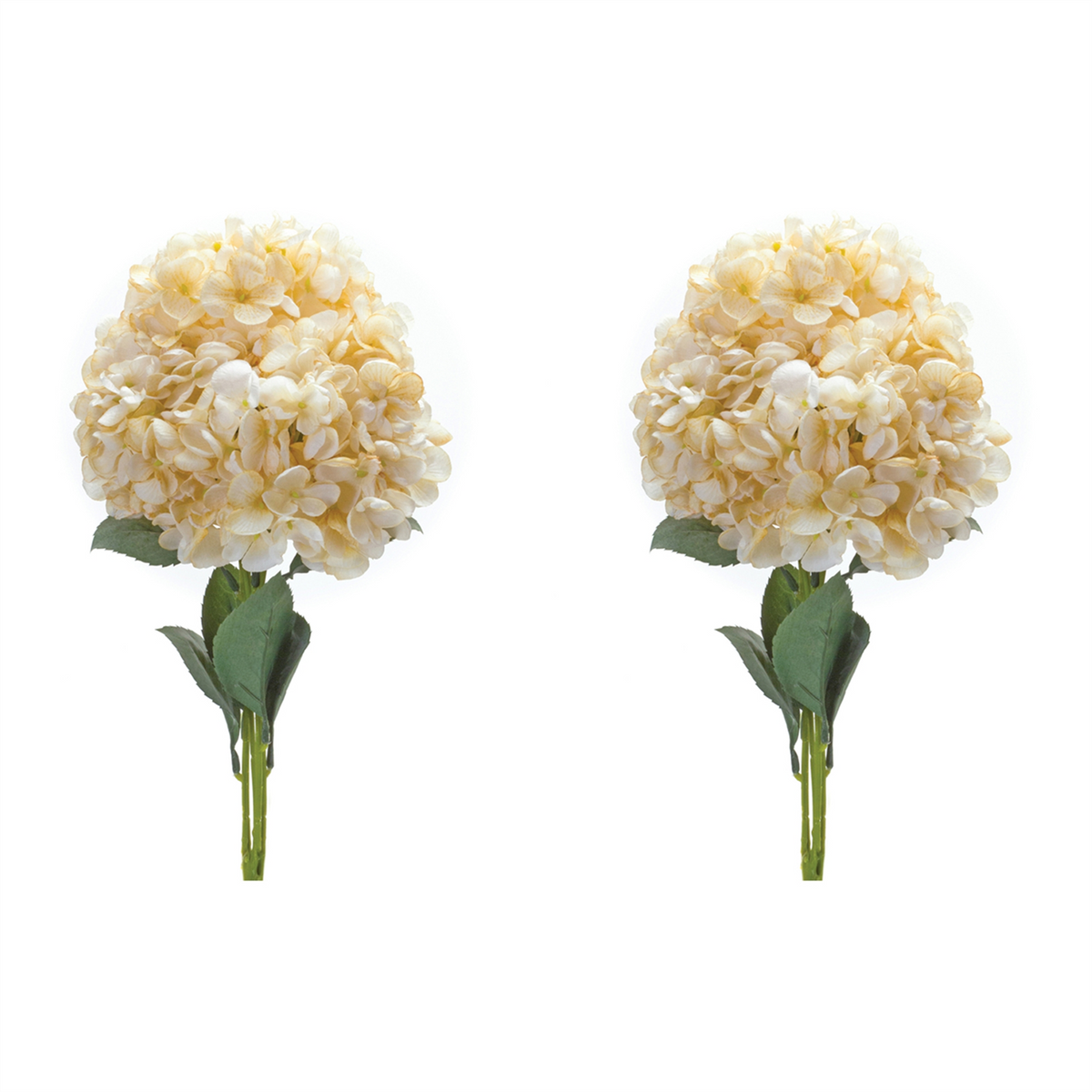 Hydrangea Bush (Set of 2) -Ship Only