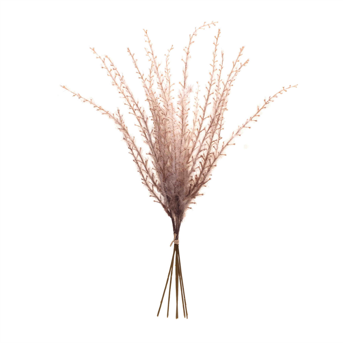 Grass Plume Bundle (Set of 6) -Ship Only