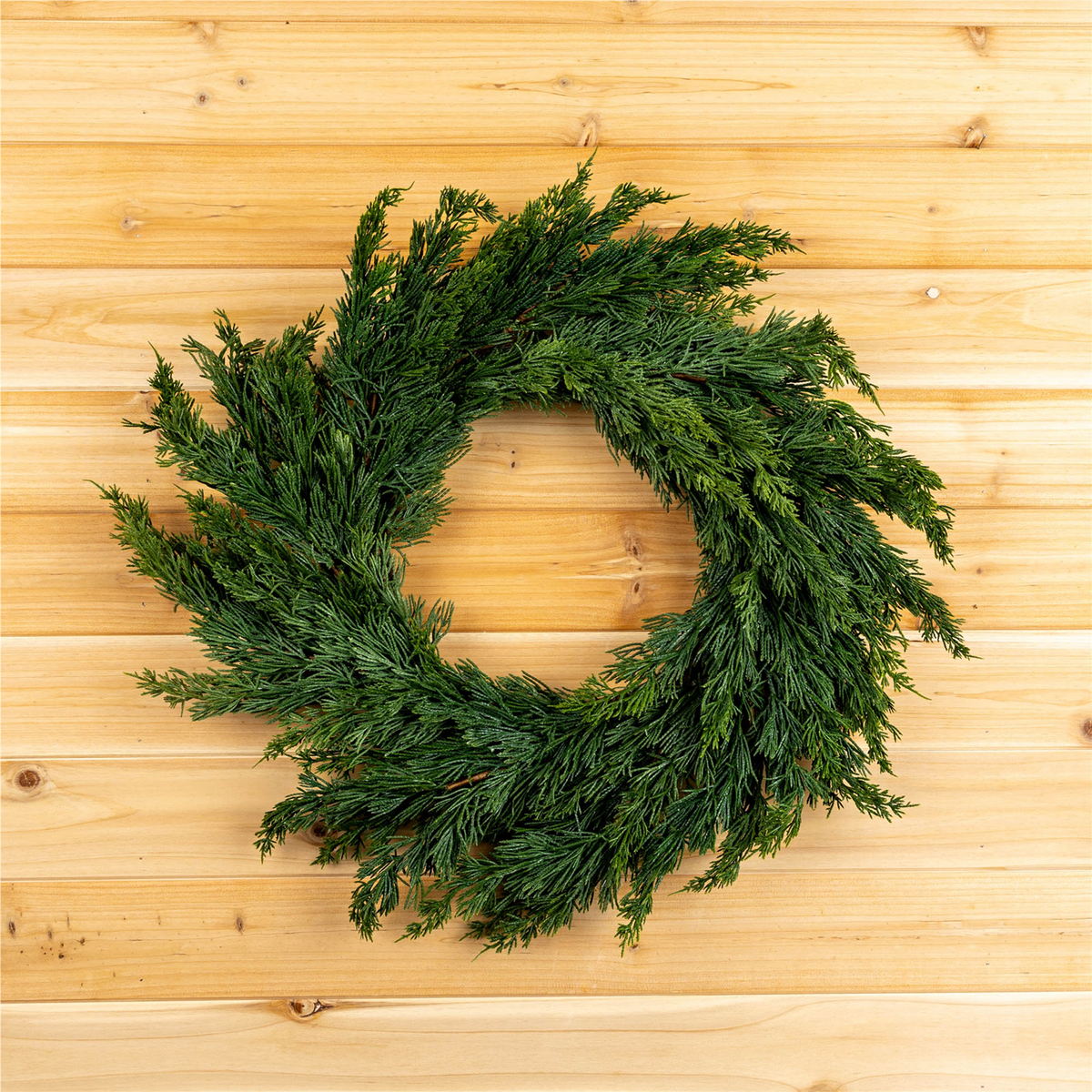 Variegated Pine Wreath 25"D -Ship Only