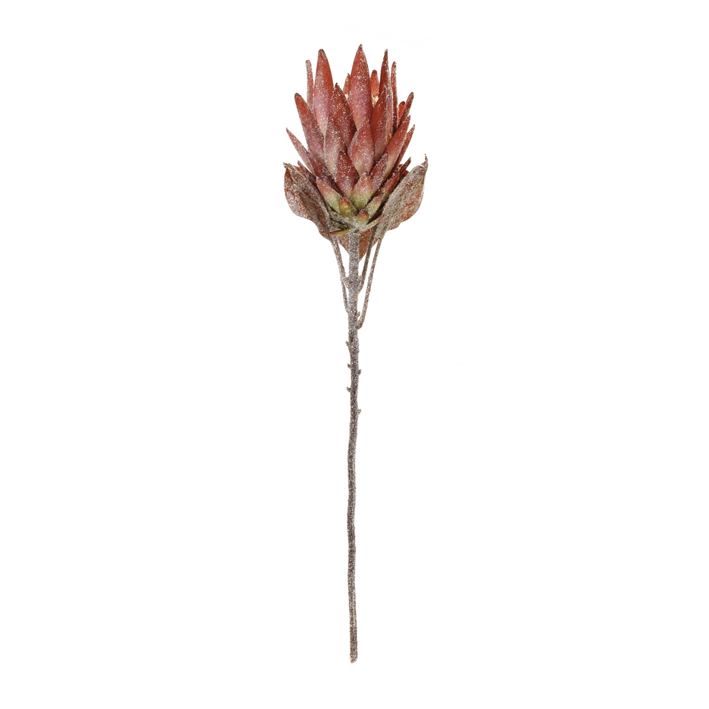Orange Protea Flower Stem (Set of 2) -Ship Only