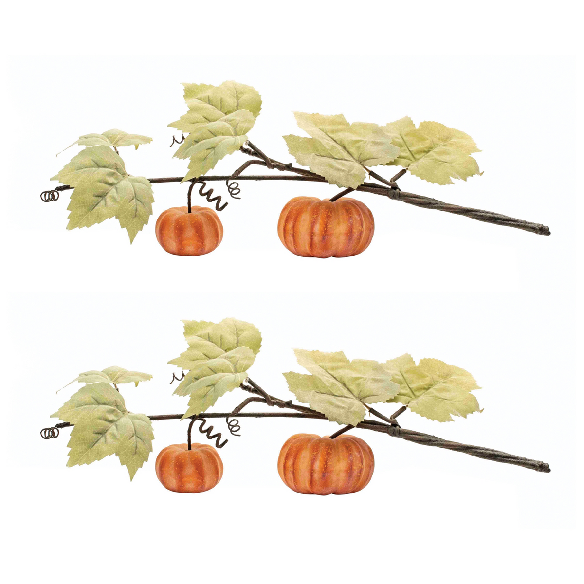Fall Pumpkin Vine (Set of 2) -Ship Only
