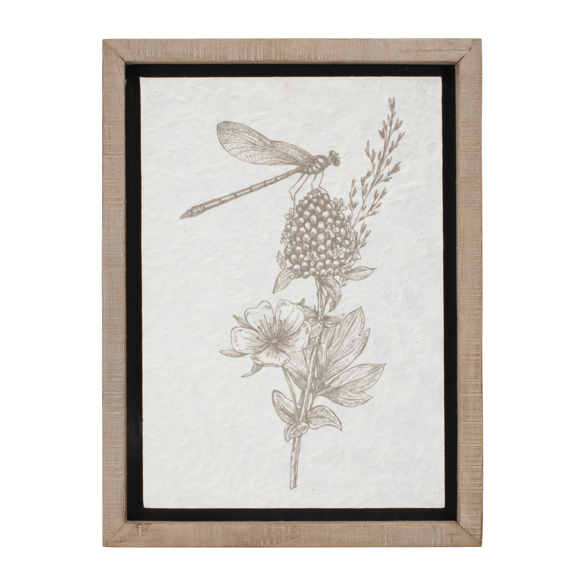 Framed Floral Insect Print (Set of 3) -Ship Only