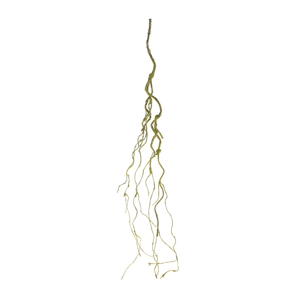 Mossy Twig Vine (Set of 6) -Ship Only