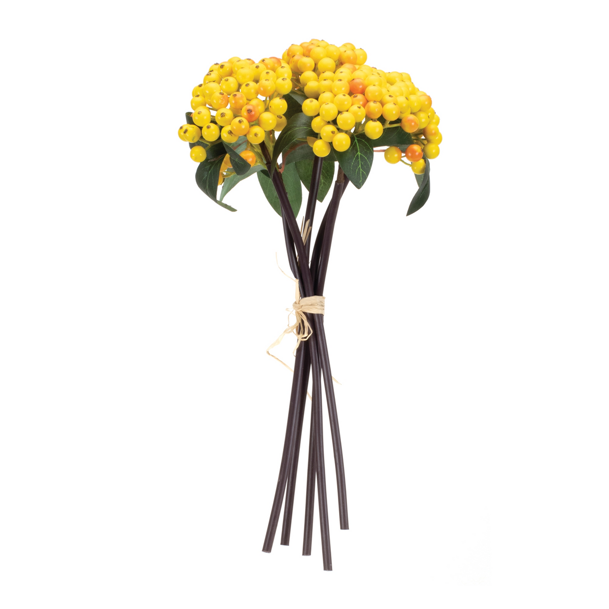 Yellow Berry Bundle (Set of 2) -Ship Only