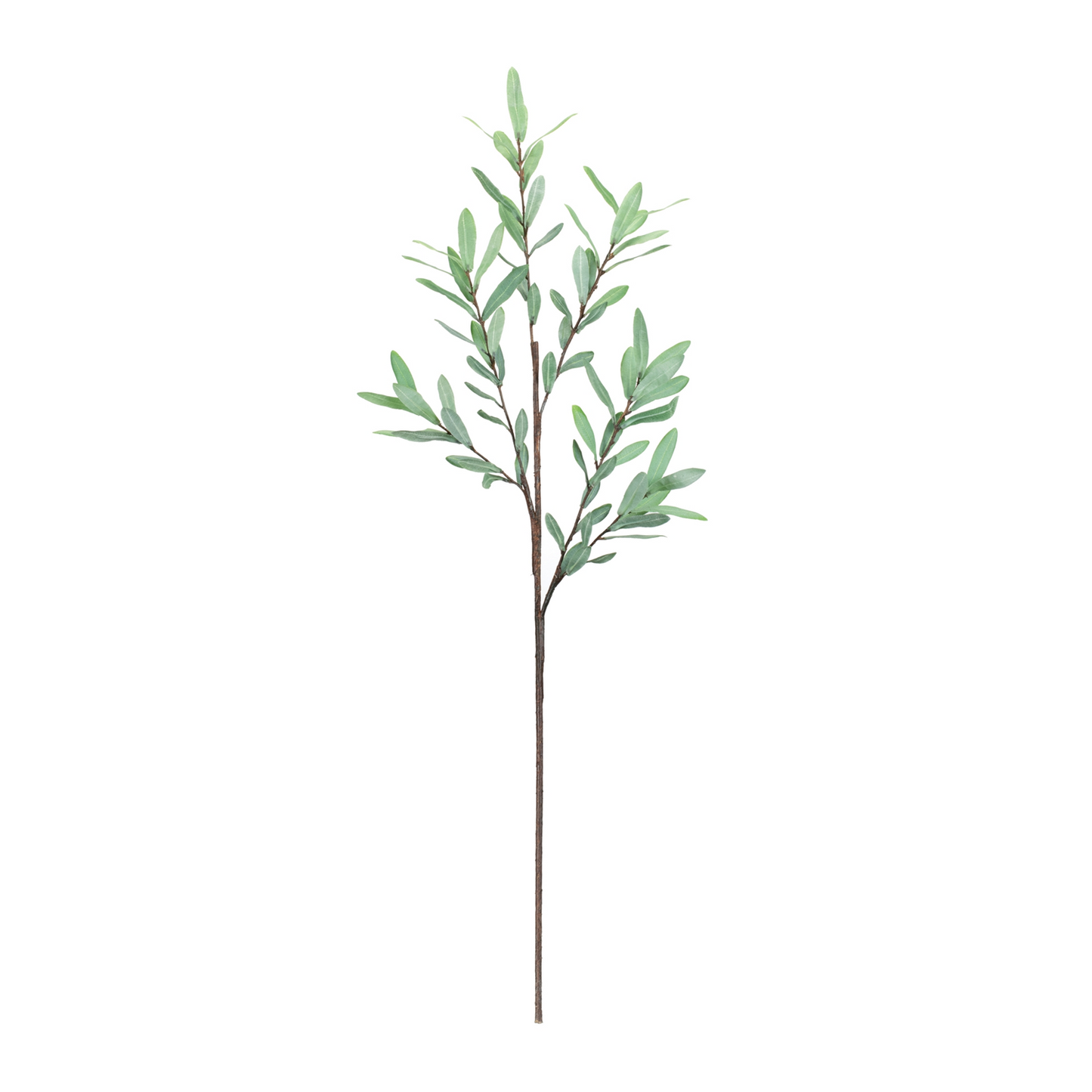 Olive Leaf Twig Branch (Set of 2) -Ship Only