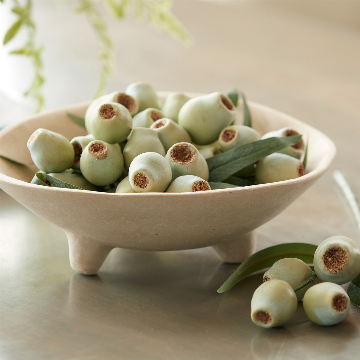 Green Pod Foliage Bundle (Set of 2) -Ship Only