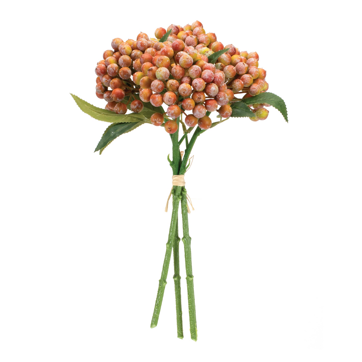 Orange Berry Bundle (Set of 2) -Ship Only