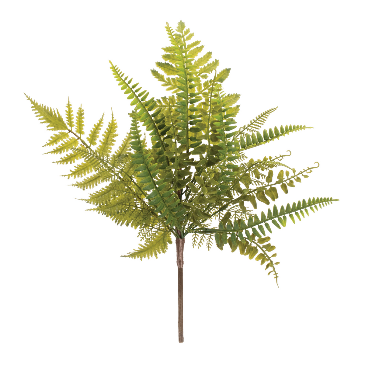 Mixed Fern Foliage Spray (Set of 6) -Ship Only