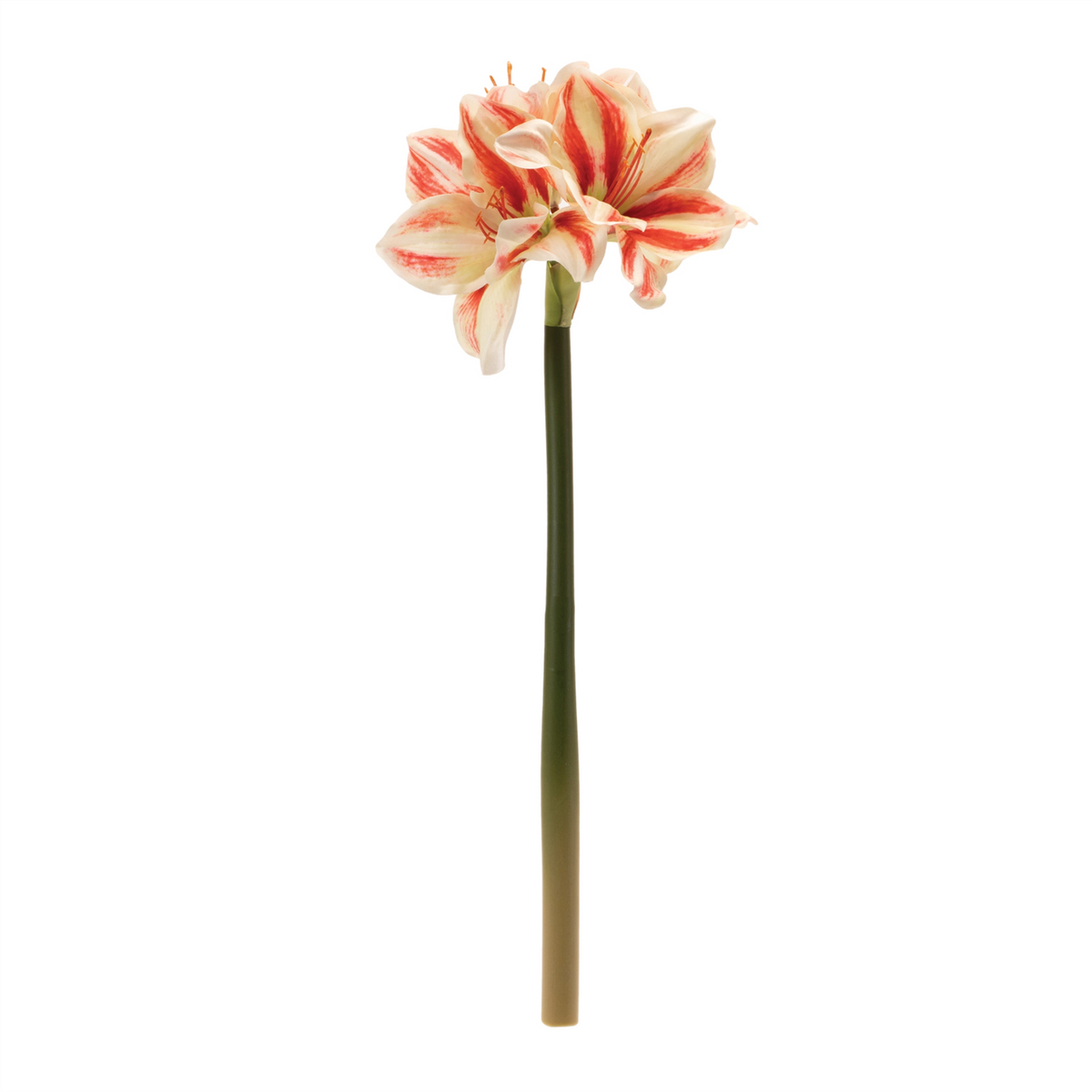 Amaryllis (Set of 6) 17.5”H Polyester -Ship Only