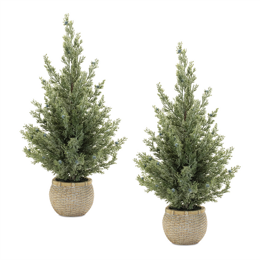 Potted Mini Pine Tree (Set of 2) -Ship Only