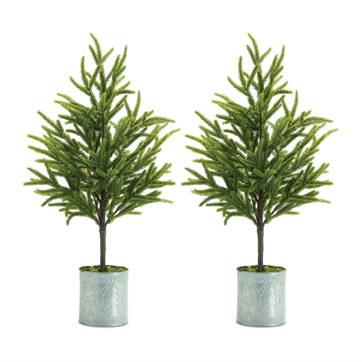 Potted Mini Pine Tree (Set of 2) -Ship Only