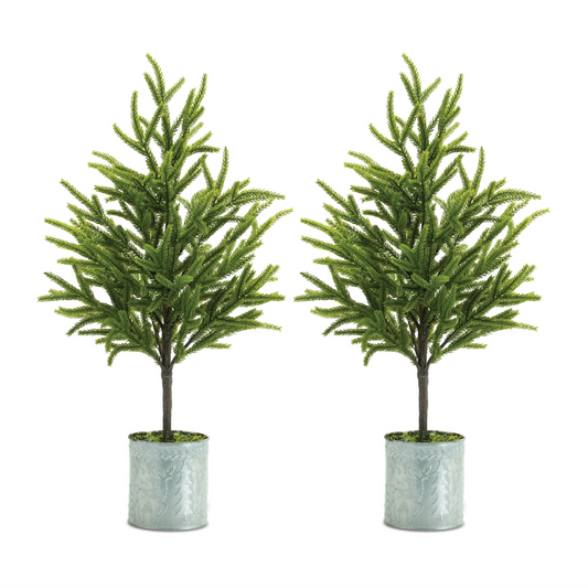 Potted Mini Pine Tree (Set of 2) -Ship Only