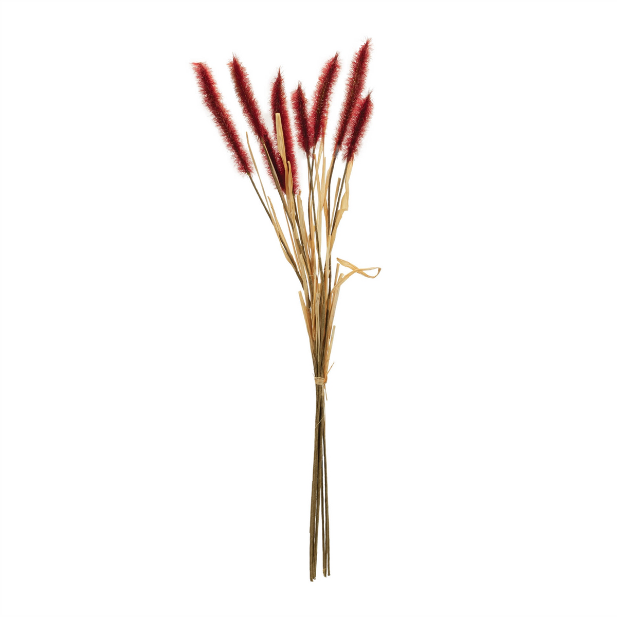 Fall Foxtail Grass Bundle (Set of 6) -Ship Only