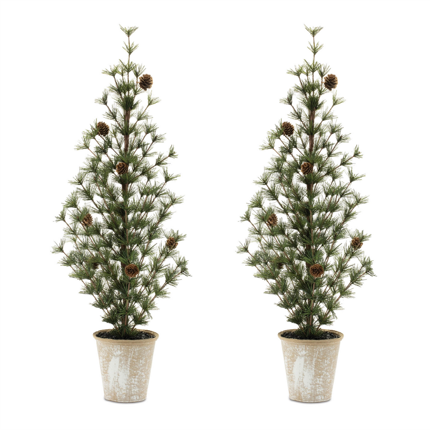 Potted Mini Pine Tree (Set of 2)