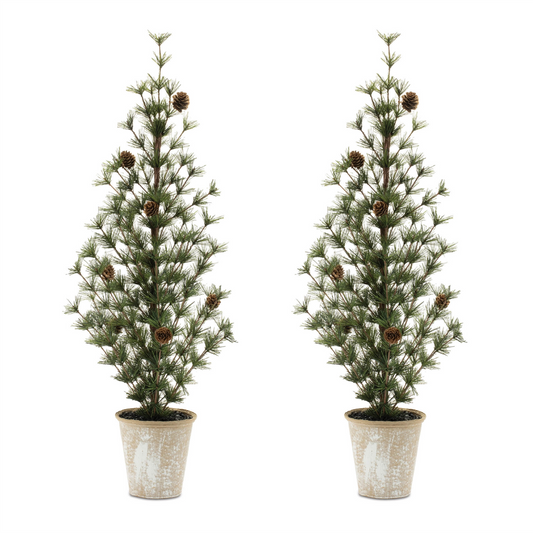 Potted Mini Pine Tree (Set of 2) -Ship Only