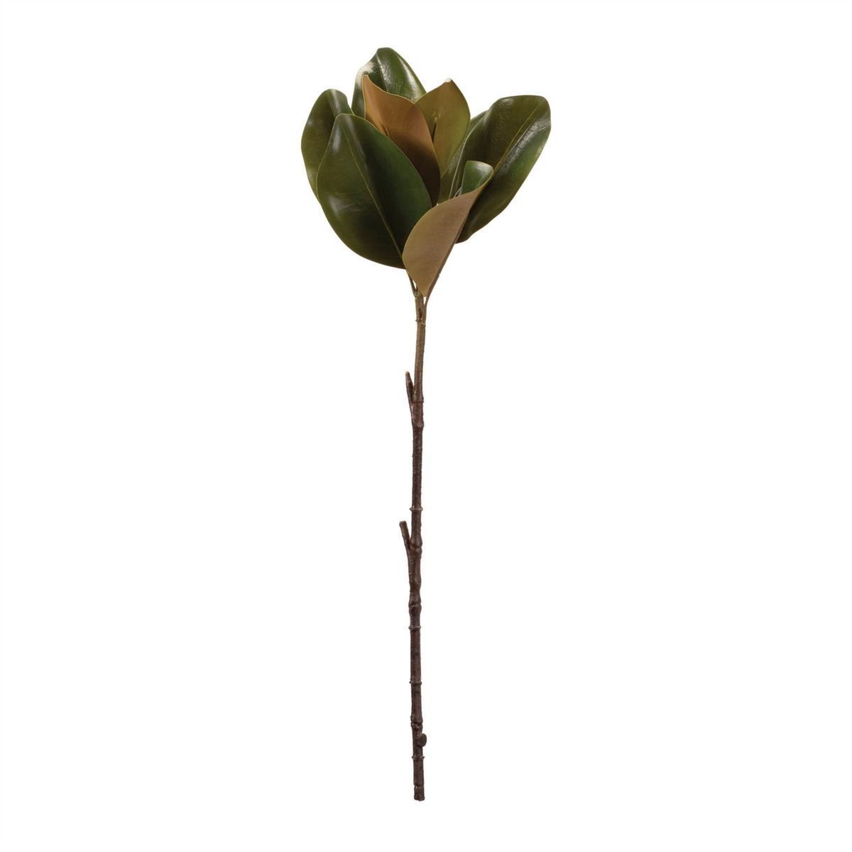 Magnolia Leaf Spray (Set of 6)