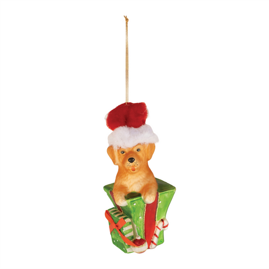 Puppy in Package Ornament (Set of 6)