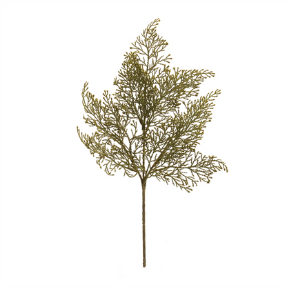 Cedar Spray (Set of 6)