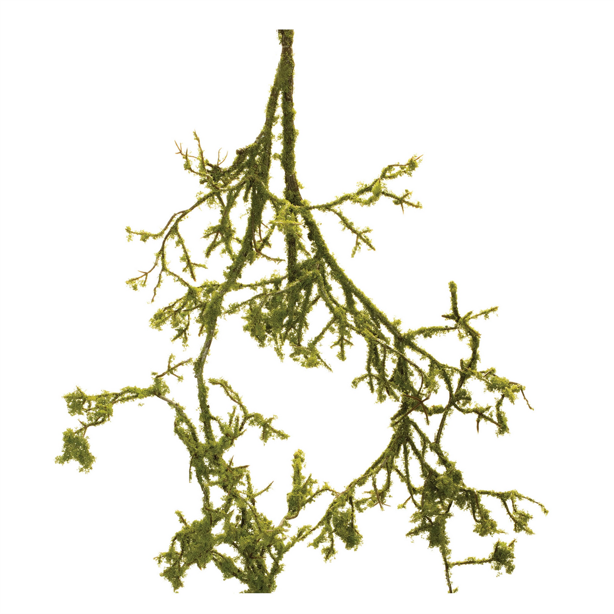 Mossy Twig Branch Vine (Set of 6) -Ship Only